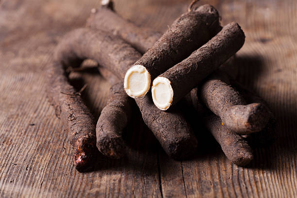 Salsifi Généreux Terroir