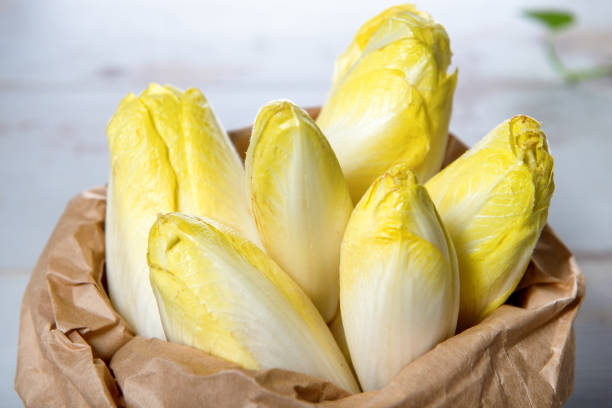 Endive Généreux terroir