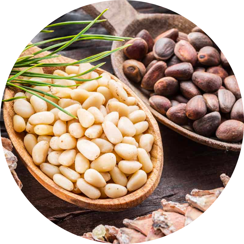 Pignon de pin