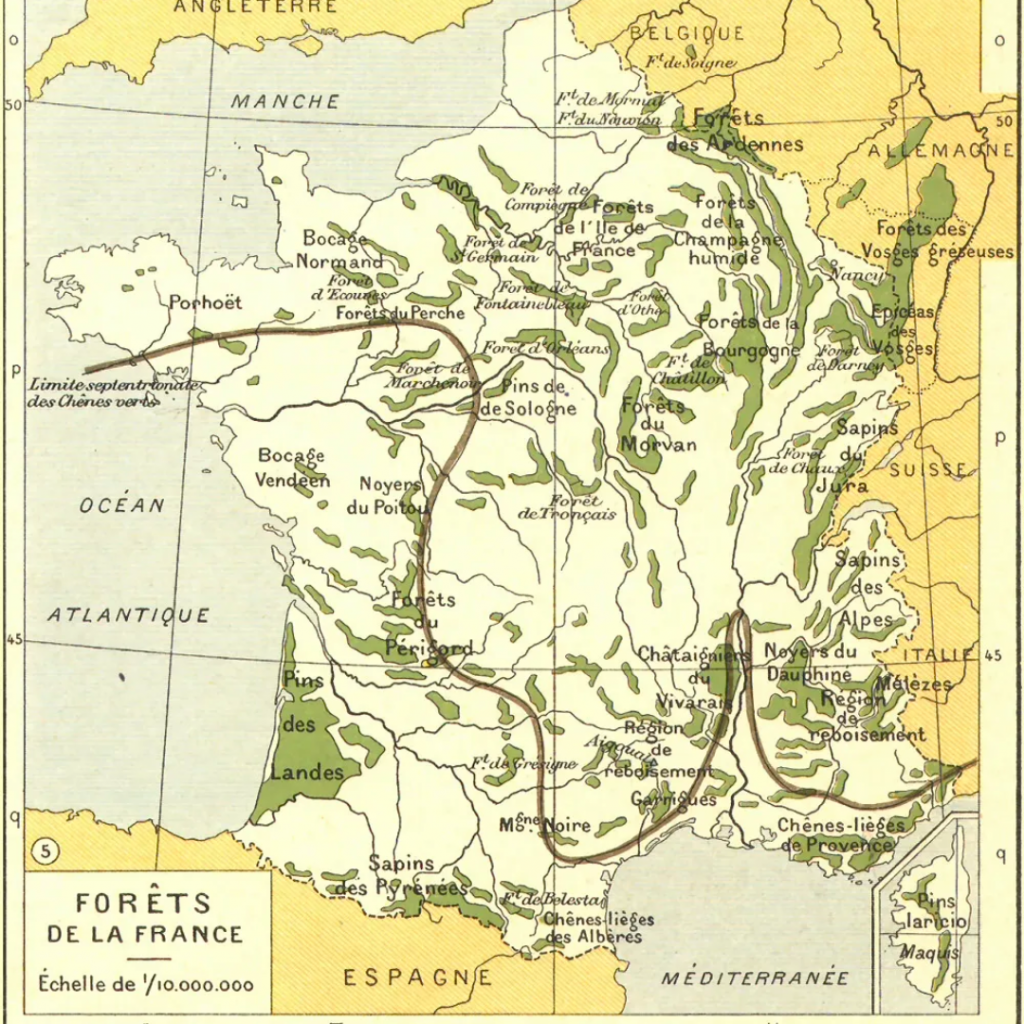 Carte de France forêts