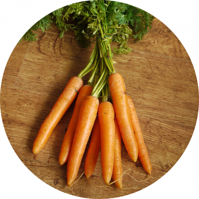 Carottes