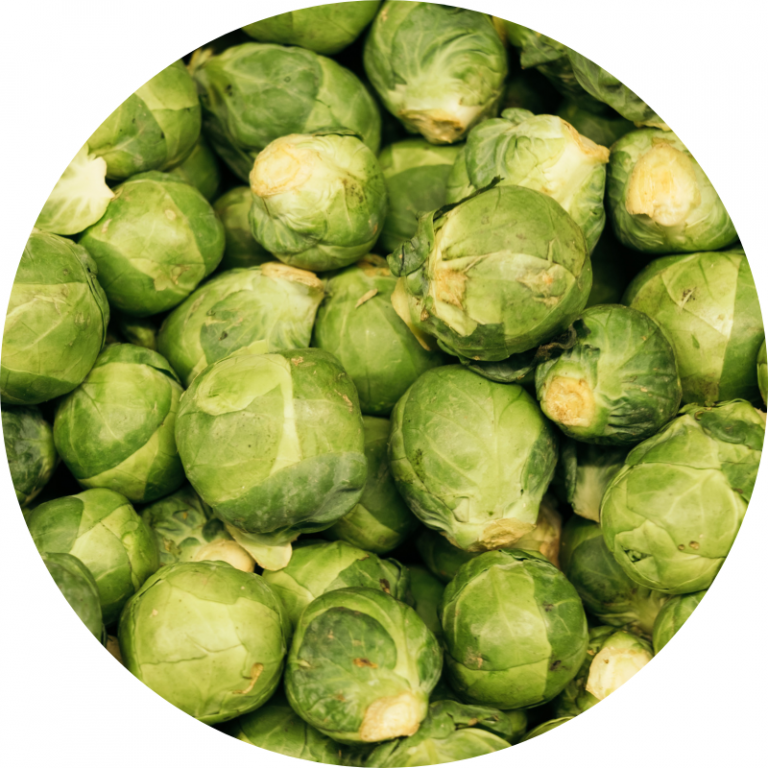Chou de Bruxelles