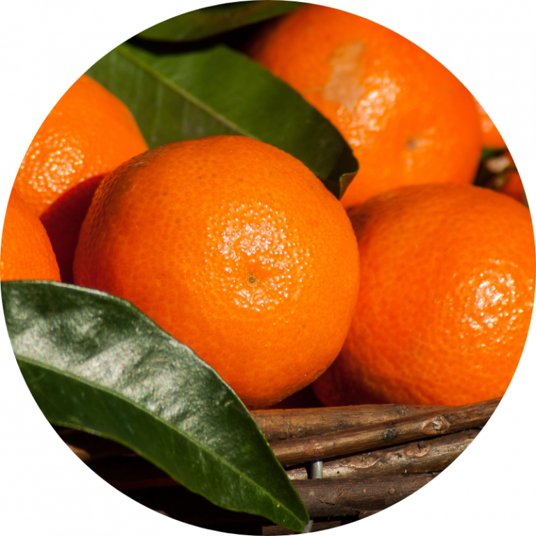 Mandarine