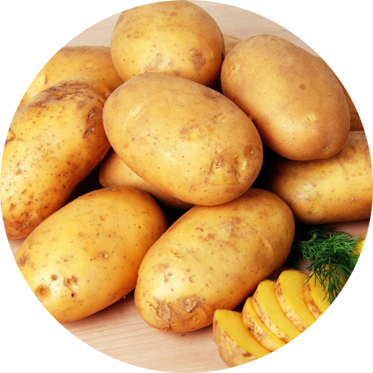 Pomme de terre
