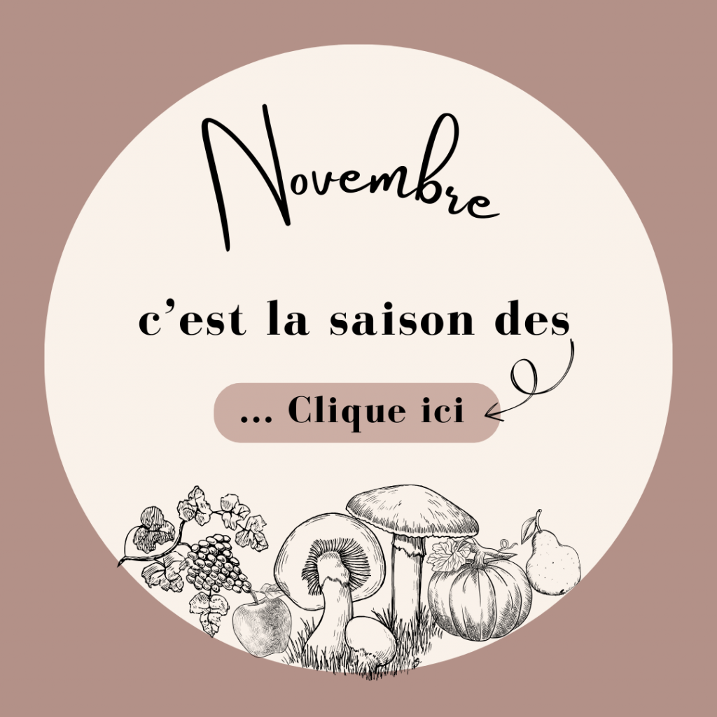 Novembre saison des